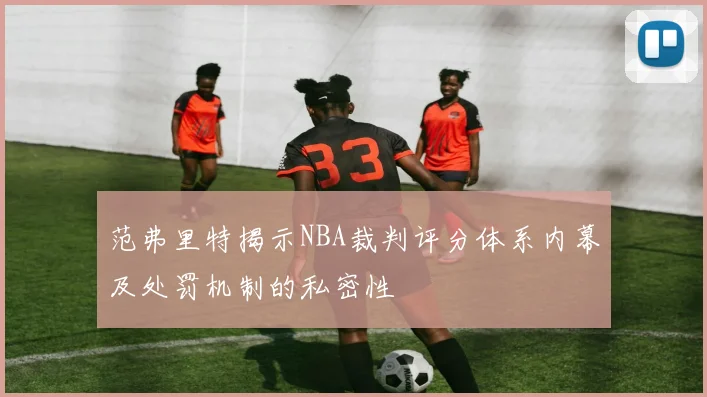 范弗里特揭示NBA裁判评分体系内幕及处罚机制的私密性