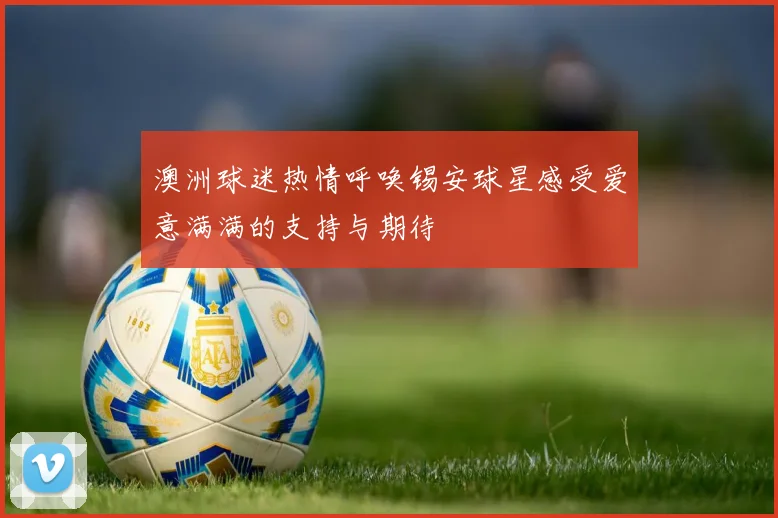 澳洲球迷热情呼唤锡安球星感受爱意满满的支持与期待