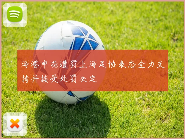 海港申花遭罚上海足协表态全力支持并接受处罚决定